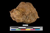 藏品(褐鐵礦)的圖片